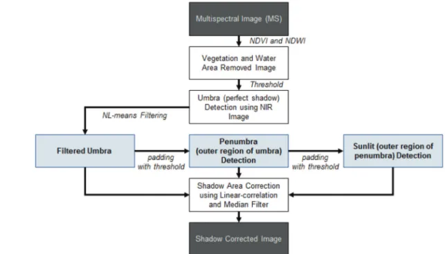 Fig. 1.  Detailed work flow of the proposed method.