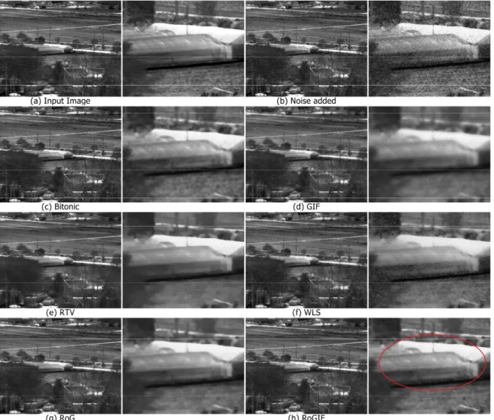 Fig.  1.  Compare  edge  preserving  smoothing  on  an  Infrared  Image  with  gaussian  noise