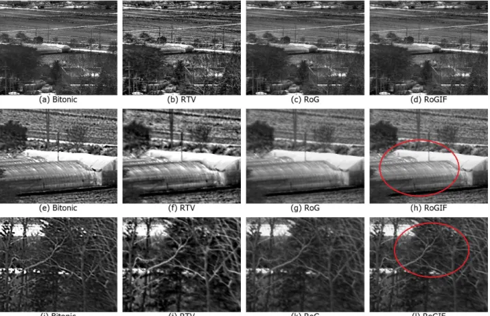Fig. 3. Compare detail enhancement on an Infrared Image. (a),(e),(i) Bitonic. (b),(f),(j) RTV