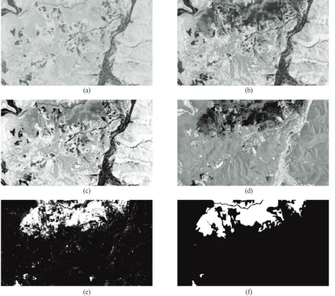 Fig. 5.  (a) NDVI before deforestation, (b) NDVI after deforestation, (c) PC 1 band by multitemporal NDVI, (d) PC 2 band by multitemporal NDVI, (e) result of deforestation area and (f) ground truth data.
