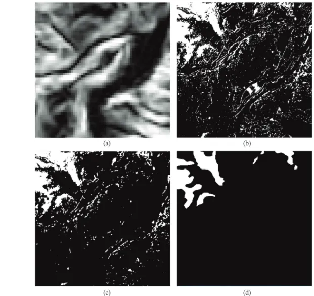 Fig. 6.  (a) slope image by SRTM, (b) initial deforestation area, (c) final deforestation area and (d) ground truth data.