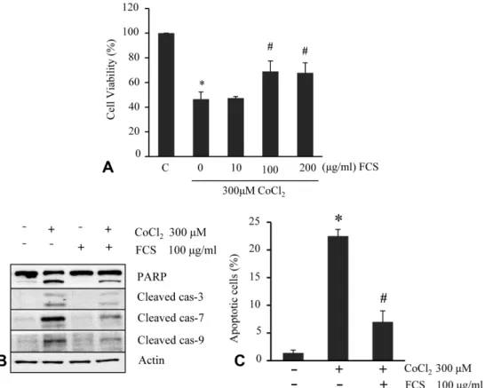 Fig. 2. Protective Effect of fermented C. sunki peel extract on the neurotoxicity (A), activities of caspases and PARP (B), formation of apoptotic body (C) in CoCl 2 -treated SH-SY5Y cells