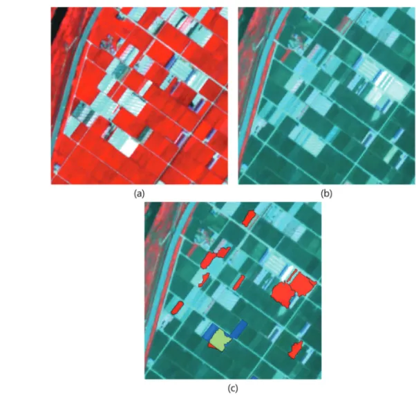 Fig. 12.  Detailed images of the change detection results (case 3) : (a) image acquired in August 2016, (b) image acquired in June 2017 and (c) change detection result based on integration with land cover map and segmented objects.