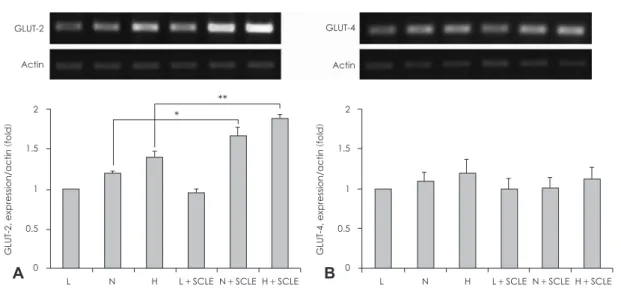 Fig. 3. Measurement of GLUT-2, -4 mRNA expression. A: Effect of a Smilax china L. leaf extract (SCLE) treatment on GLUT-2 mRNA ex- ex-pression in HepG2 cells