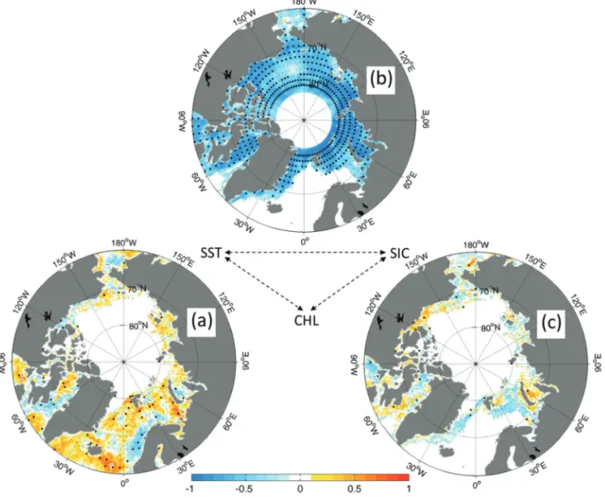 Fig. 5.  Correlation coefficient between (a) chlorophyll-a concentration (CHL) and sea surface temperature (SST), (b) SST and sea ice concentration (SIC), and (c) CHL and SIC, respectively