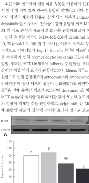 Fig. 4. Effects of delphinidin on Akt expression in MDA-MB-231 cells. 