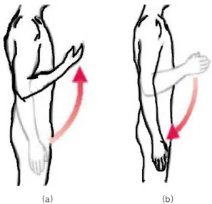 Fig.  2.  Structure  of  Elbow