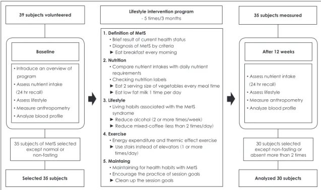 Fig. 1. Process of the MetS intervention program.
