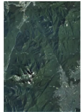 Fig. 2.  Aerial image of Bukhansan mountain Study area. Fig. 3.  Established database of damaged trees.