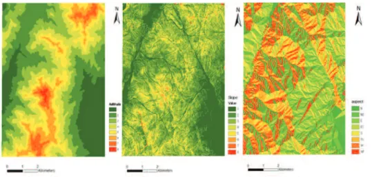 Fig. 5.  Map of terrain factors.
