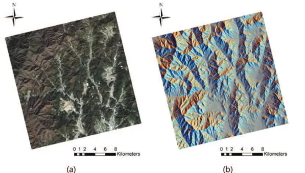 Fig. 3.  Drainage patterns that provide structural and lithological information (Greenbaum, 1985)