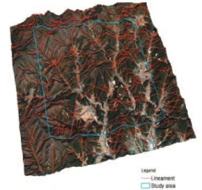 Fig. 4. Extracted lineament.