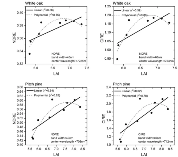 Fig. 7.  Scatter plot between LAI measurements data and spectral indices using simulated red-edge band for white oak and pitch pine.