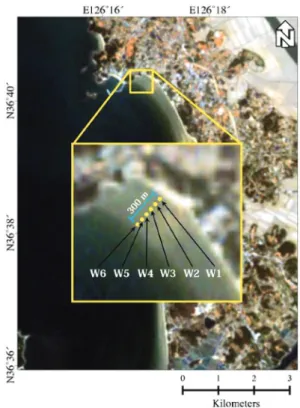 Fig. 11.  Sampling locations of Mongsanpo tidal flat in the Landsat- Landsat-7 ETM+ image acquired on 20 April 2014.
