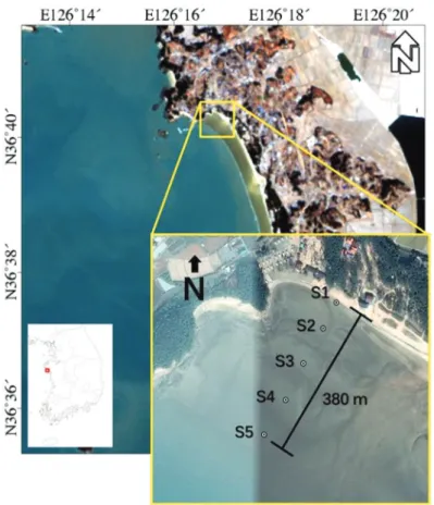 Fig. 1.  The study area. The box in the lower left image indicates the location of Mongsanpo tidal flat in Korea (background image: Landsat-8, 2014/01/22)