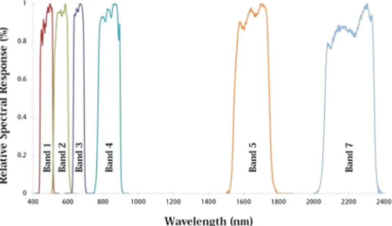 Fig. 4. Measurement setting of the spectroradiometer sensor and the samples.
