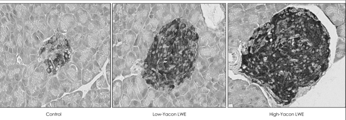 Table 4. Effect of fermented yacon leaves tea water extract supplementation on hepatic glucose metabolic enzymes activities in HFD/ 