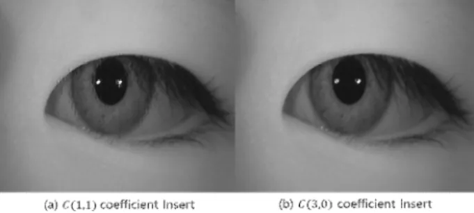 Fig.  3.  1,024  DCT  blocks  selected  from  the  pupil  center