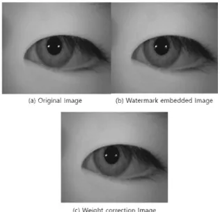Fig.  8.  an  example  of  watermark  extraction