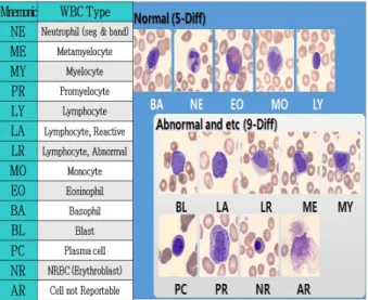 Fig.  1.  Types  and  Forms  of  White  Blood  Cells