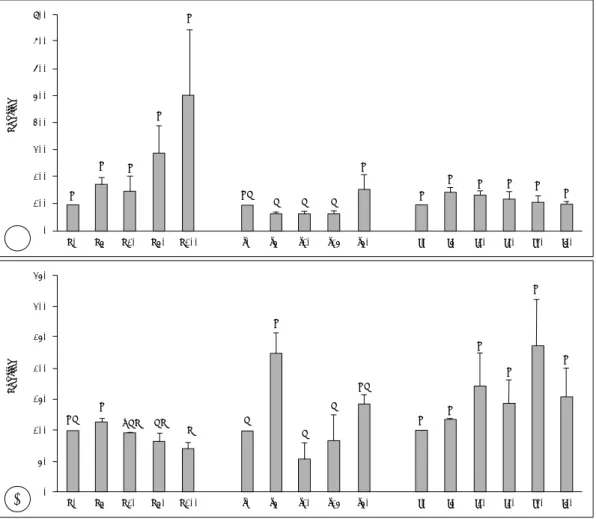 Fig. 5. Effects of ascorbic acid, silicon and iron on MMP-1 and TIMP-1 expressions of cultured human dermal fibroblasts