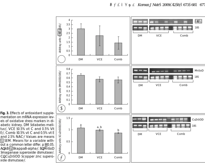 Fig. 3. Effects of antioxidant supple- supple-mentation on mRNA expression  lev-els of oxidative stress markers in  di-abetic kidney