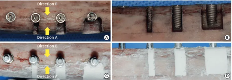 Figure 1. Experimental procedure for defect preparation and implant stability measurements