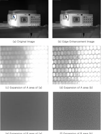 Fig.  10.  Effect  of  Laplacian  Filter
