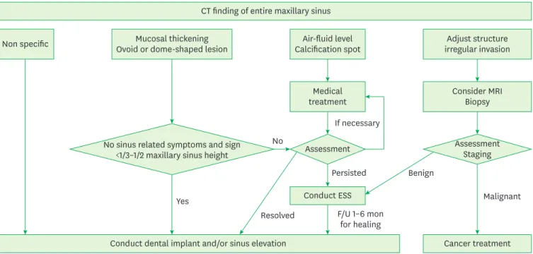 Figure 3. CT evaluation and patient management protocol. 