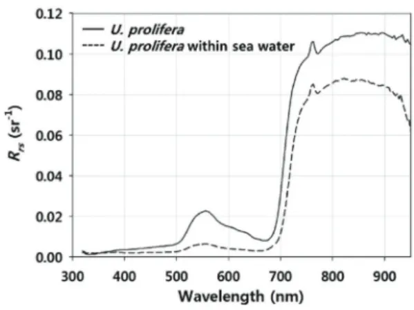 Fig. 2.  Laboratory-based  reflectance  measurements  of  U.