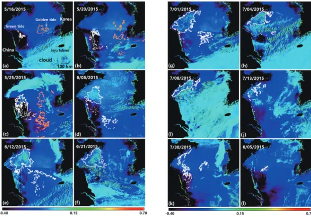 Fig. 4.  Chronological images showing the development process of green tides, from their initial appearance on May 16, 2015 to their final disappearance on August 5, 2015 as observed via GOCI NDVI images