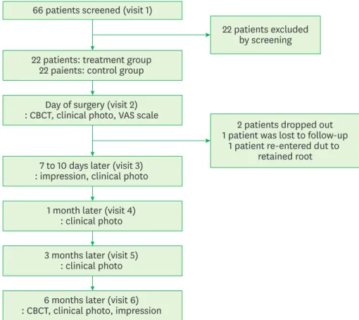 Figure 1. Flow diagram for the phases of the randomized controlled trial. 