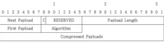 그림  7.  압축된  IKE_SA_INIT의  페이로드 Figure  7.  Compressed  Payload  in  IKE_SA_INIT