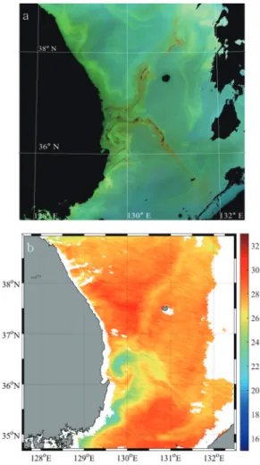 Fig. 10.  GOCI RGB composite image (a) and SST image (b) on 13 Aug 2013.