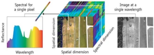 Fig.  1.  Hyperspectral  Image  structure