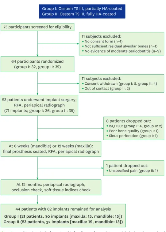 Figure 3. Consolidated Standards of Reporting Trials flow diagram of the participants and the implants that were placed.