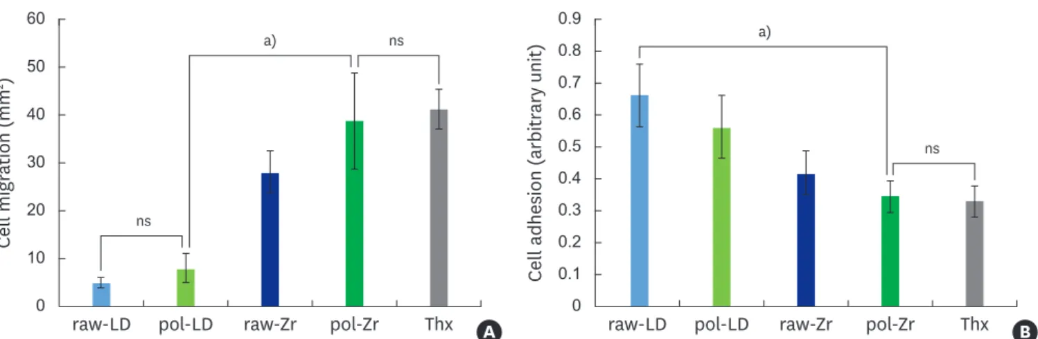Figure 3. Organotypic culture on raw-LD, pol-LD, raw-Zr, and pol-Zr compared to Thx. (A) Cell migration (mm 2 ); (B) cell adhesion (arbitrary unit)