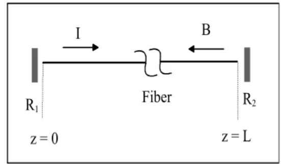 Fig.  1.  Configuration  of  the  optical  network  with                 counter-propagation  signals.