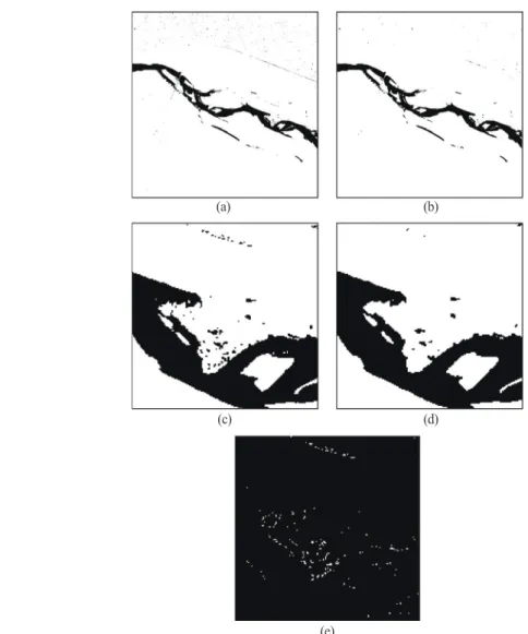 Fig. 5.  Water body image obtained after applying the threshold value 25 to the distance image and smoothed distance image (a) the Mahalanobis distance image (b) the smoothed distance image obtained by connectivity strength-based mean curvature diffusion (