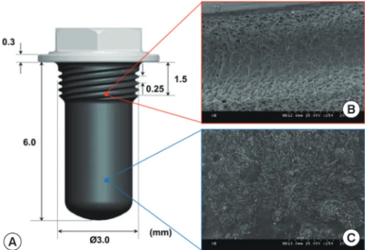 Figure 1. Custom-made mini-implants and micrographs of their surfaces  with and without a recombinant human bone morphogenetic protein  (rh-BMP)-2 coating