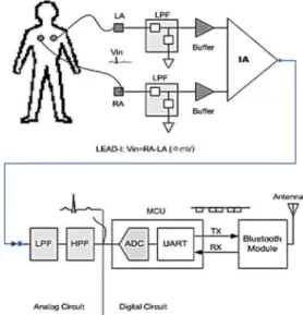 Fig.  6.  Heart  rate  variability  according  to  body  condition