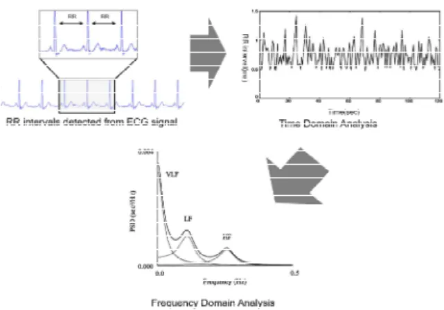 Fig.  9.  Calculation  of  heart  rate