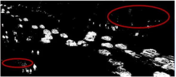 Fig.  2.9.  Image  before  Erosion  Processing.
