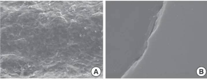 Figure 5.  Implant surface after removal from a pig bone segment,  as observed using field-emission scanning electron microscopy: (A)  Original magnification, ×1,000