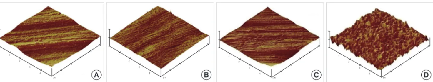 Figure 3. The cross-sectioned image from the scanning electron microscope shows the thickness of the group I (A), group II (B), and group III  (C) surface oxide layers