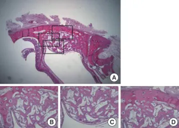 Table 2. Measurements in standardized rabbit sinus model.