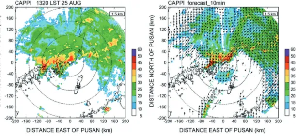 Fig. 3.  Observed Radar Rainfall Image and Motion Vector Extraction in August 25, 2014, in Busan South Korea.