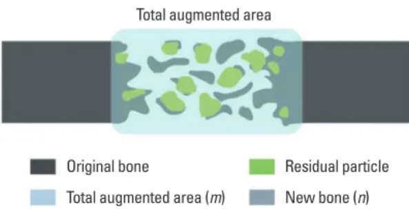 Figure 2.  Schematic diagram of a calvarial osteotomy defect show- show-ing the histometric analysis
