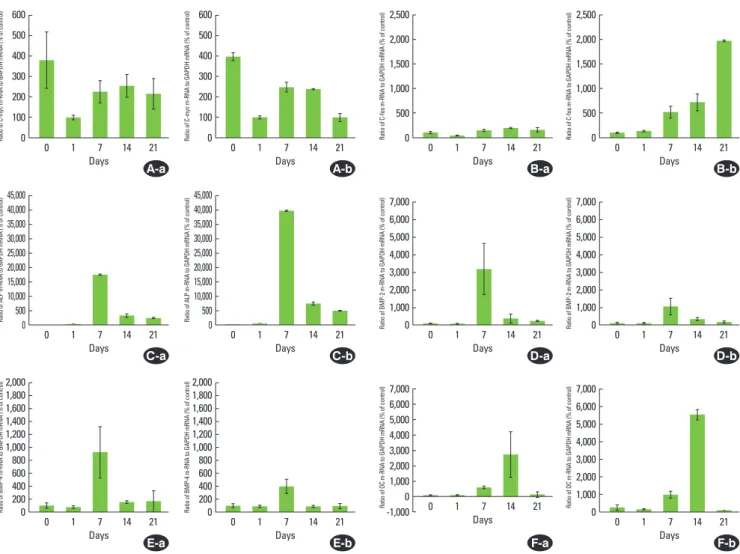 Figure 3.  Gene expression pattern during mineralization of peri- peri-odontal ligament cells