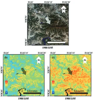 Fig. 3.  Comparison between NDVI and mNDVI maps: (a) RGB composite image, (b) NDVI map and (c) mNDVI map.